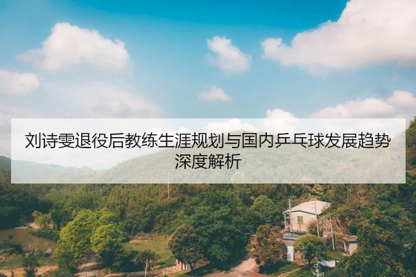 刘诗雯退役后教练生涯规划与国内乒乓球发展趋势深度解析
